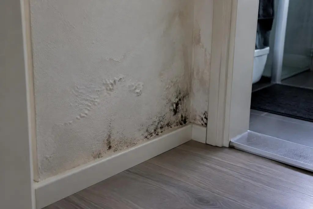 Lekdetectie Bilthoven – vochtplek met schimmel op een muur